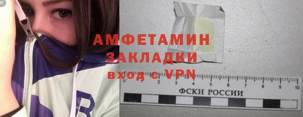 индика Сатка