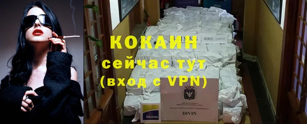 индика Сатка
