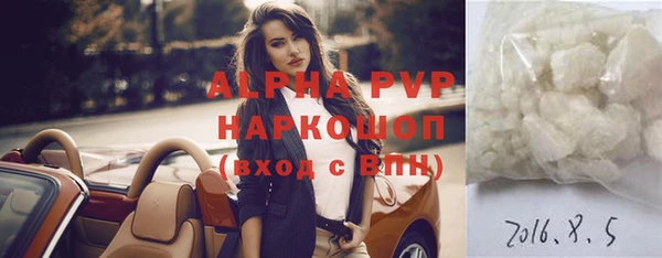 индика Сатка