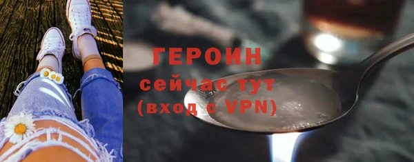 индика Сатка