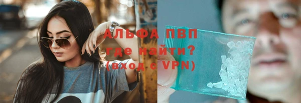 индика Сатка