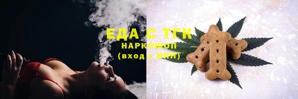 индика Сатка