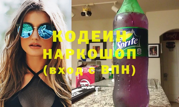 индика Сатка