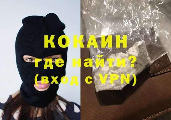 индика Сатка