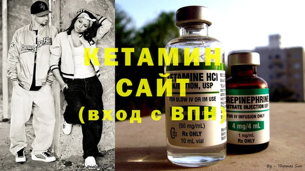 индика Сатка