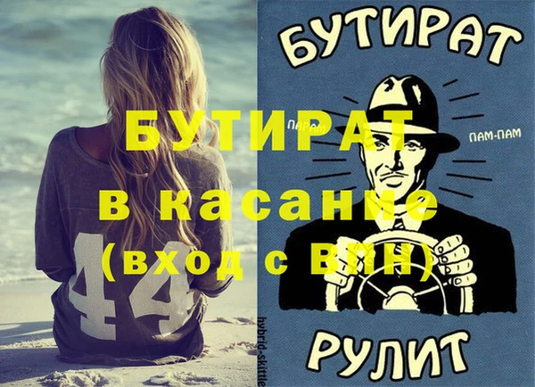 индика Сатка