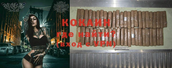 индика Сатка