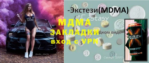 индика Сатка