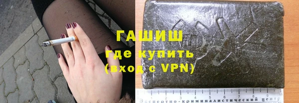 индика Сатка