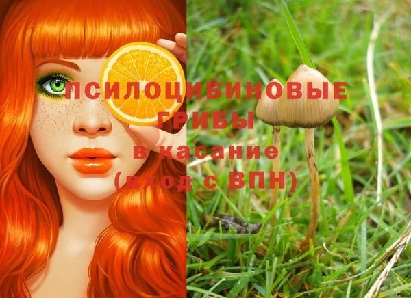 гашишное масло Саяногорск