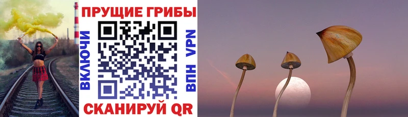 Галлюциногенные грибы GOLDEN TEACHER  Самара 