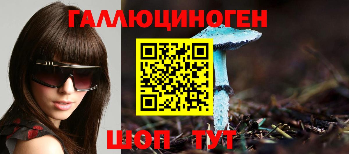 Псилоцибиновые грибы Cubensis Самара