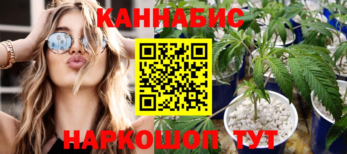 Шишки марихуана White Widow  МАРИХУАНА ГИДРОПОН  Самара  Каннабис SATIVA & INDICA  Бошки Шишки Bruce Banner  Вход с VPN 